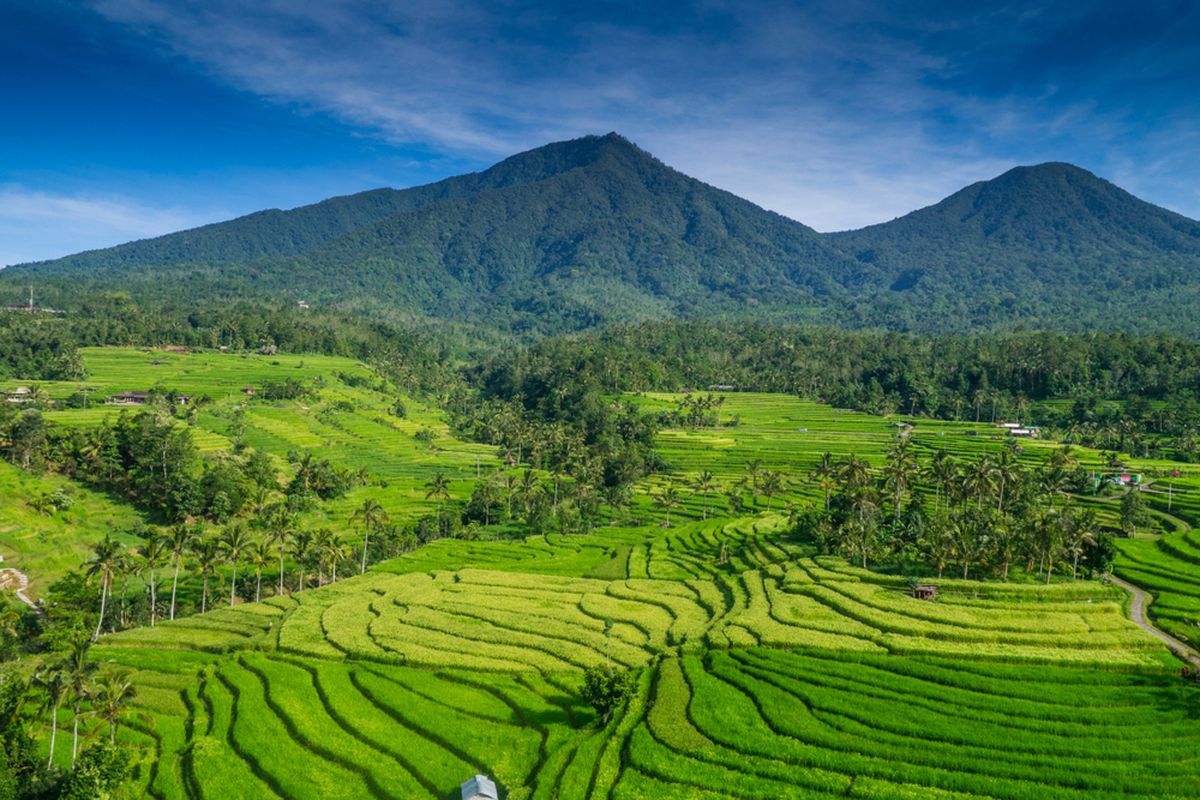 Jatiluwih Rice Terraces